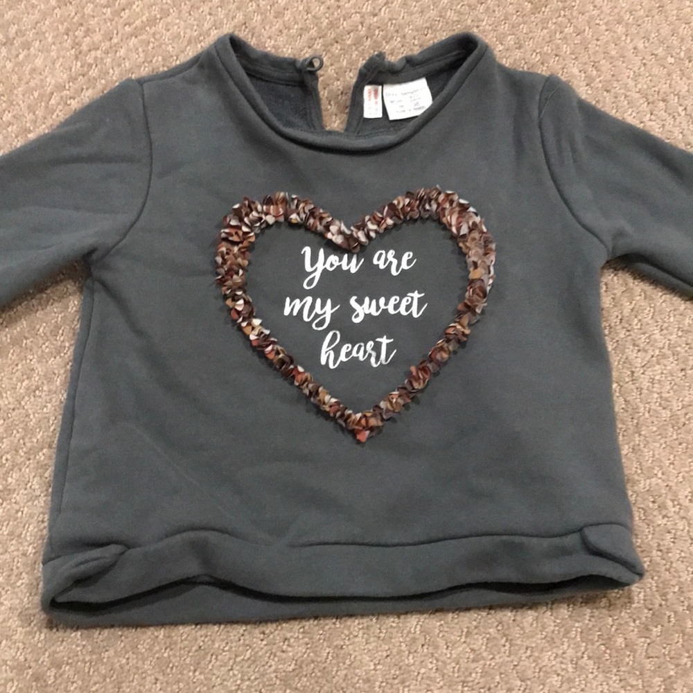 Zara Toddler Sweatshirt